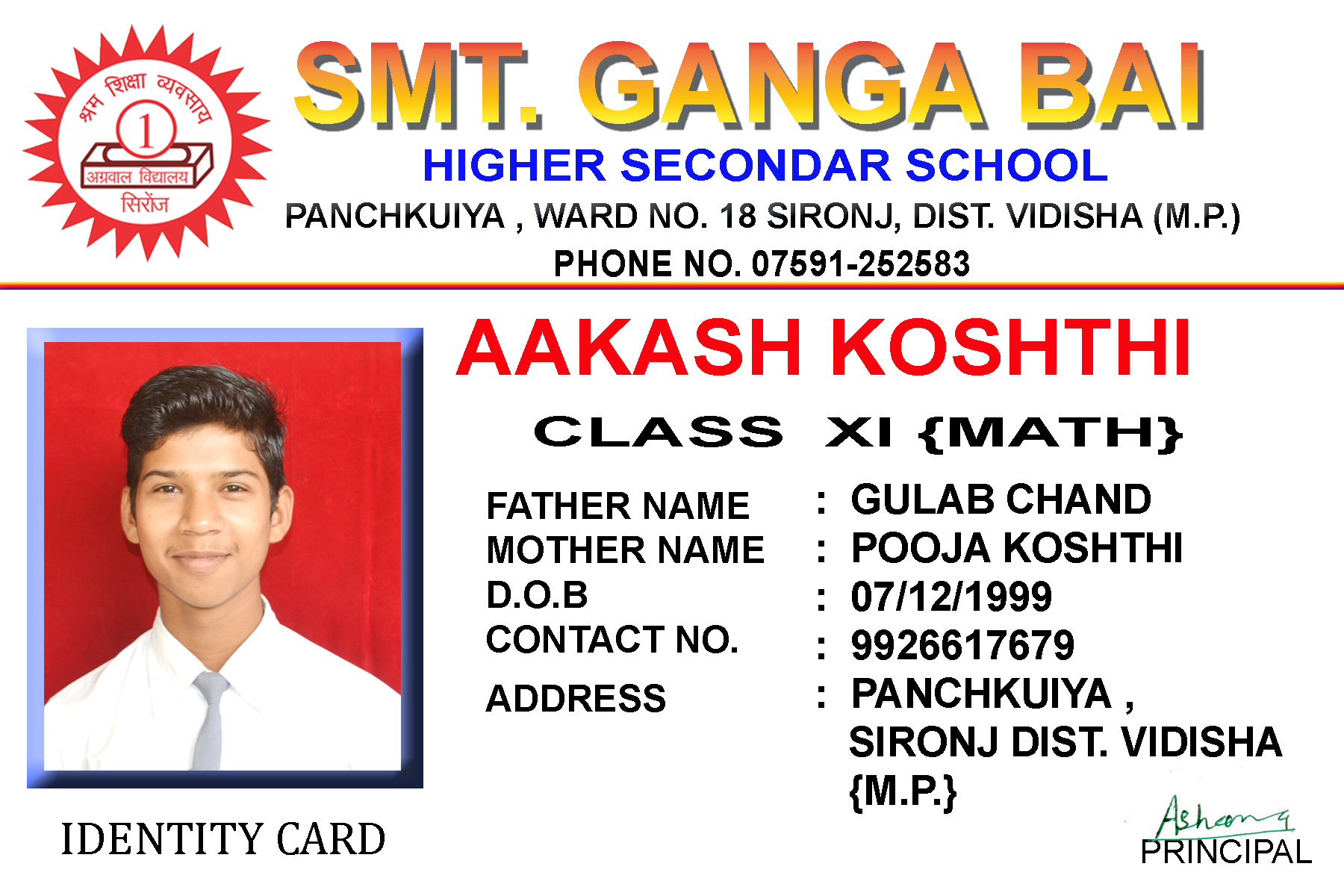 demo card tamplate